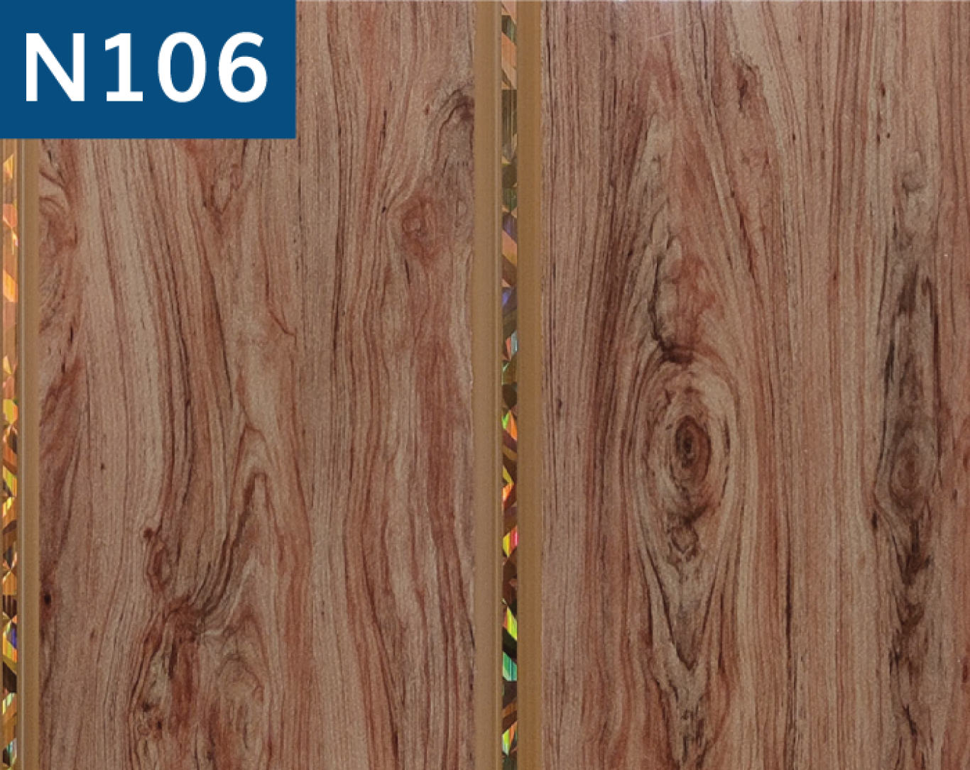 N106